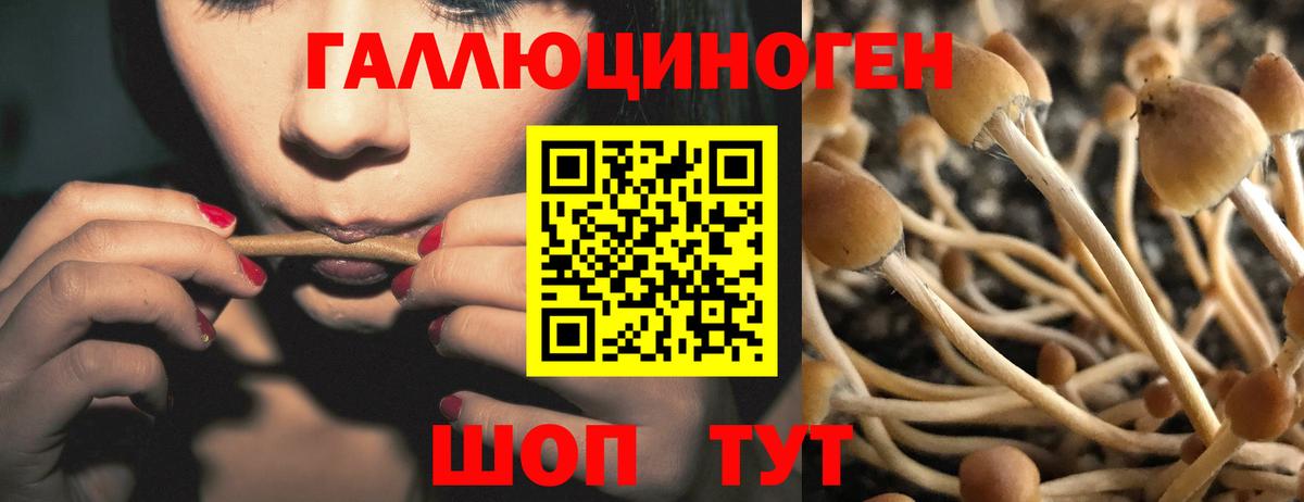 Псилоцибиновые грибы Psilocybe  Вход с VPN  Псилоцибиновые грибы мицелий  Пыть-Ях 